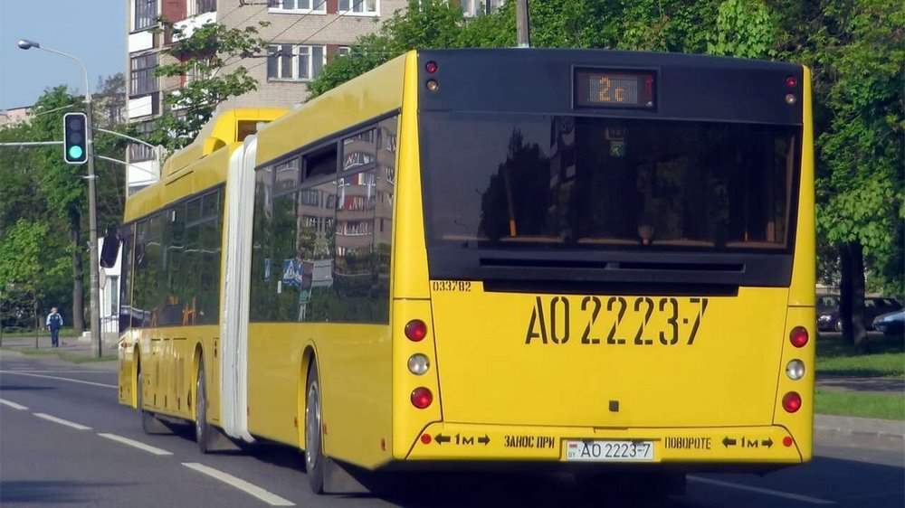 Фото автобуса МАЗ-215 сзади